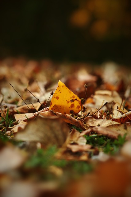 费兰-托雷斯帽子戏法领衔，巴尔吉首球惊艳：巴萨三将书写拉卡图哈尔之夜